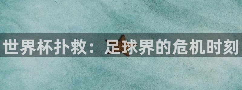 2026足球世界杯:世界杯扑救:足球界的危机时刻