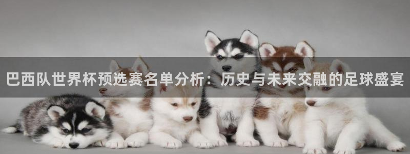 世界杯直播时间:巴西队世界杯预选赛名单分析:历史与未来交融的足球盛宴