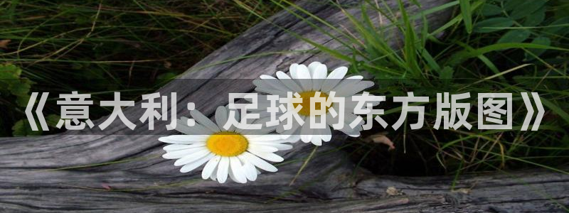 世界杯预赛赛程:《意大利:足球的东方版图》