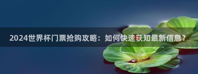 世界杯直播时间:2024世界杯门票抢购攻略:如何快速获知最新信息?