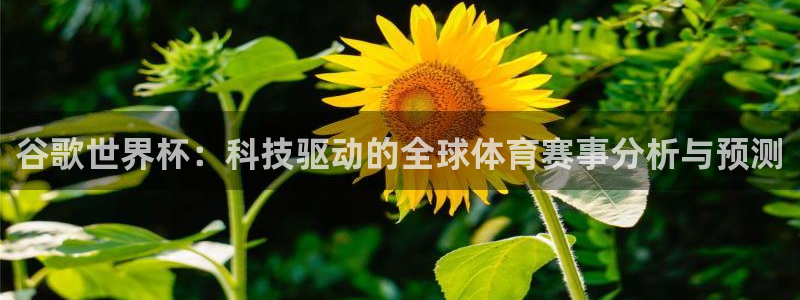 世界杯第一场比赛:谷歌世界杯:科技驱动的全球体育赛事分析与预测