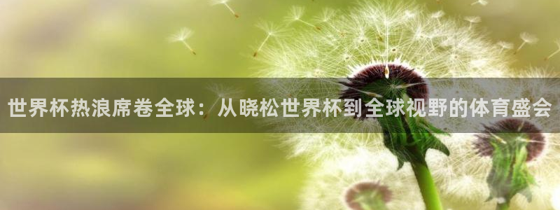 中国 世界杯:世界杯热浪席卷全球:从晓松世界杯到全球视野的体育盛会
