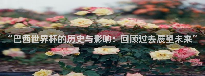 世界杯比赛直播:“巴西世界杯的历史与影响:回顾过去展望未来”