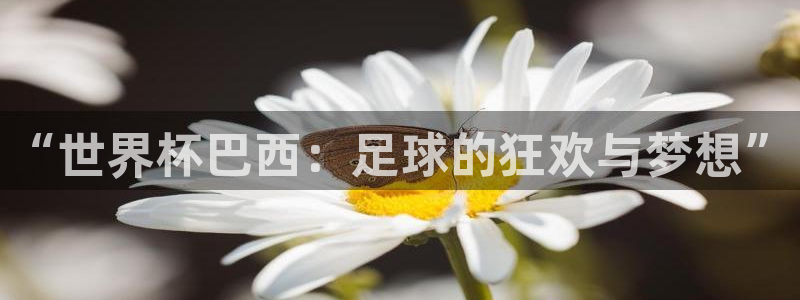 世界杯第一场比赛:“世界杯巴西:足球的狂欢与梦想”