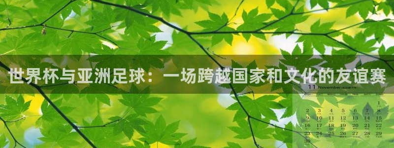足球世界杯预选赛:世界杯与亚洲足球:一场跨越国家和文化的友谊赛